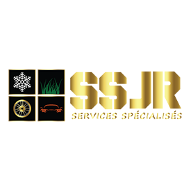 image-logo-ssjr-ko_vision