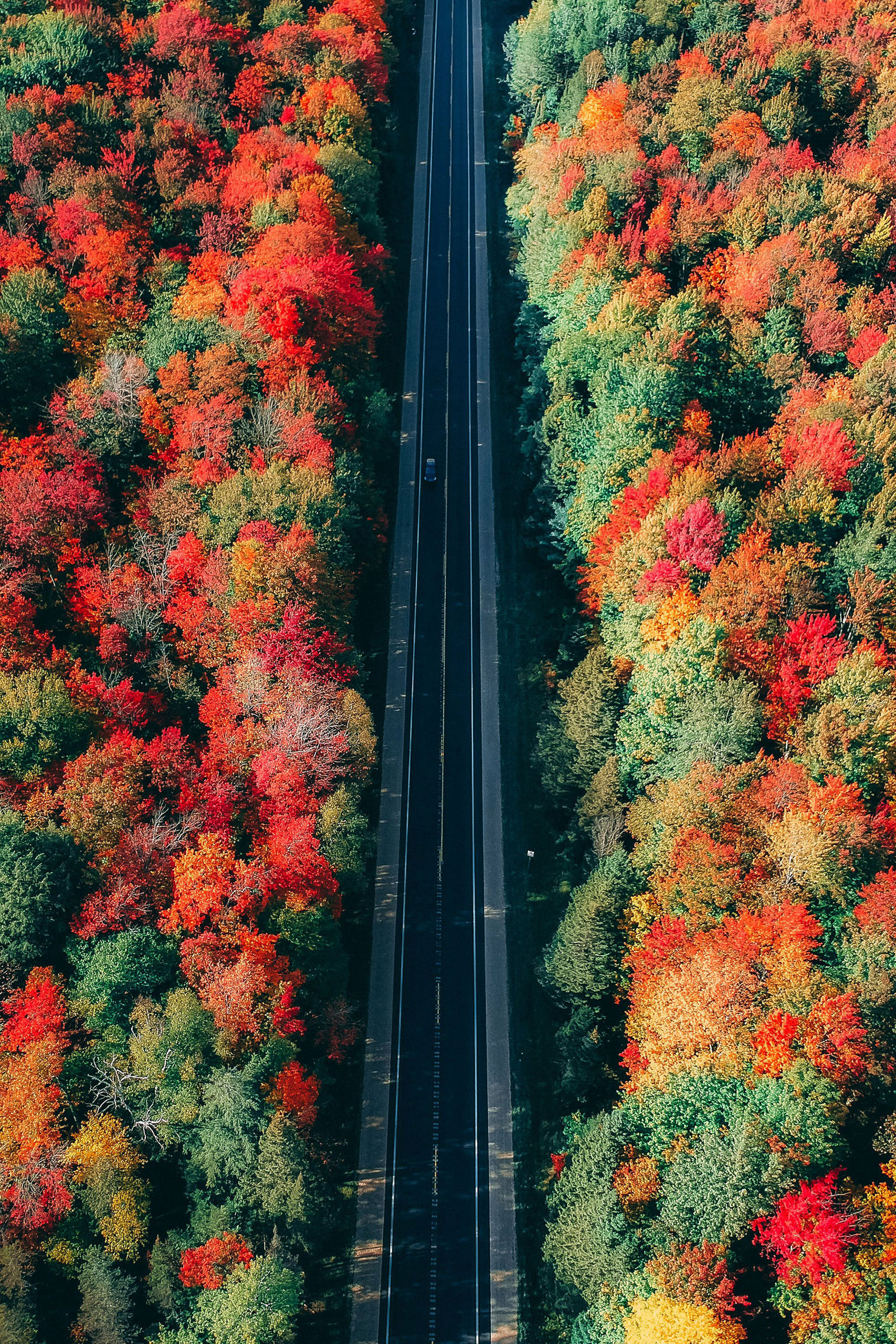 photo-cropped-aerienne-galerie-2-ko_vision